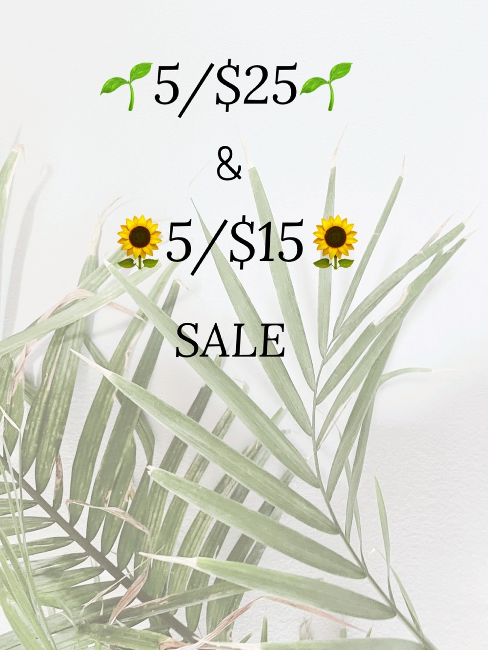 🌱5/$25🌱sale & 🌻5/$15🌻 sale —Bundle 5 marked listings, get them discounted!